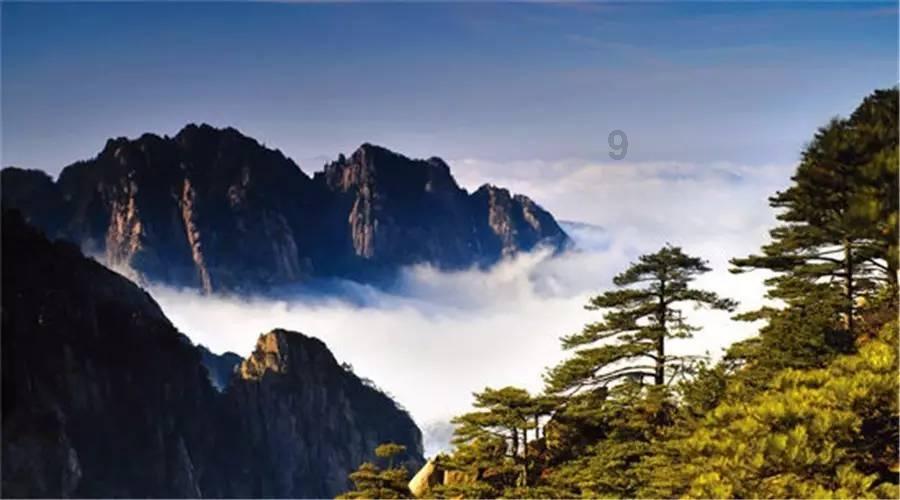 小猫钓鱼开船版最新版下载
