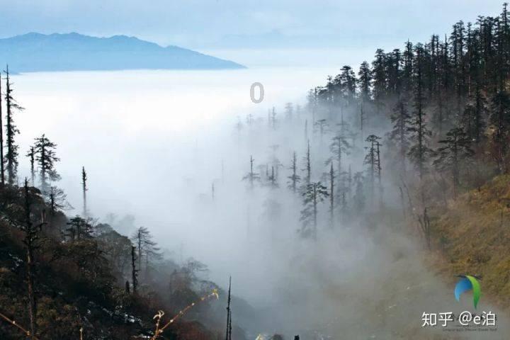 世界杯啦啦队员