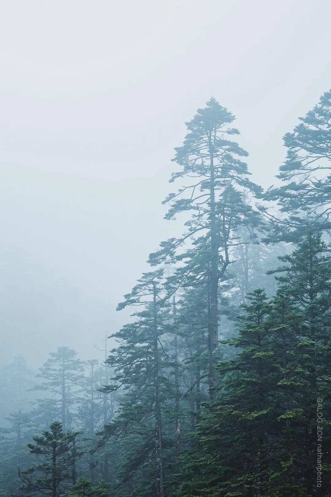 逃离游戏研究中心