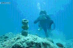 海底世界填颜色5