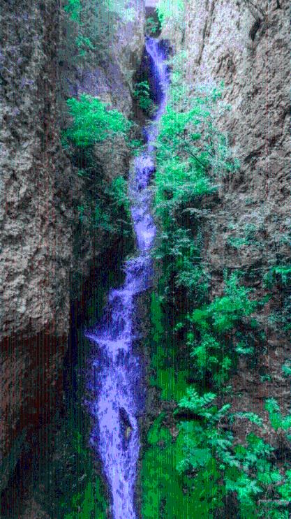 逃出林中村