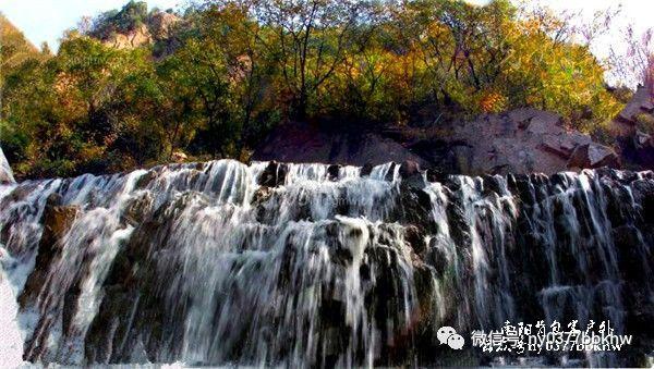 青年之声 生生不息(二)