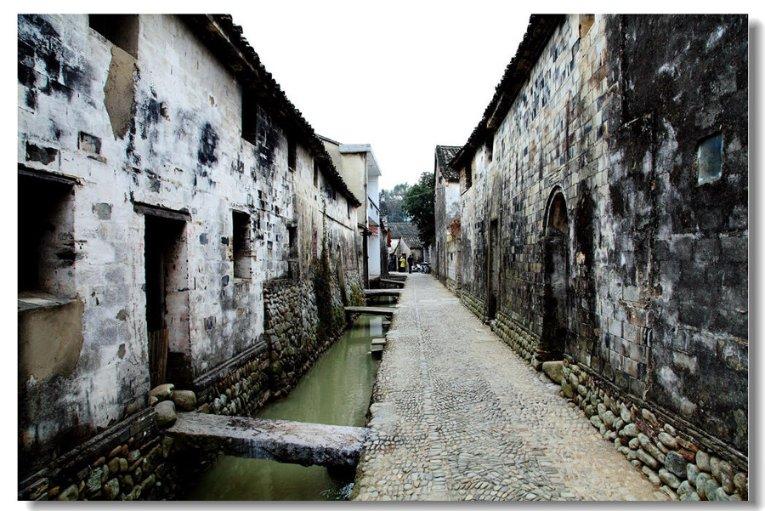 动物帮帮忙保卫家园