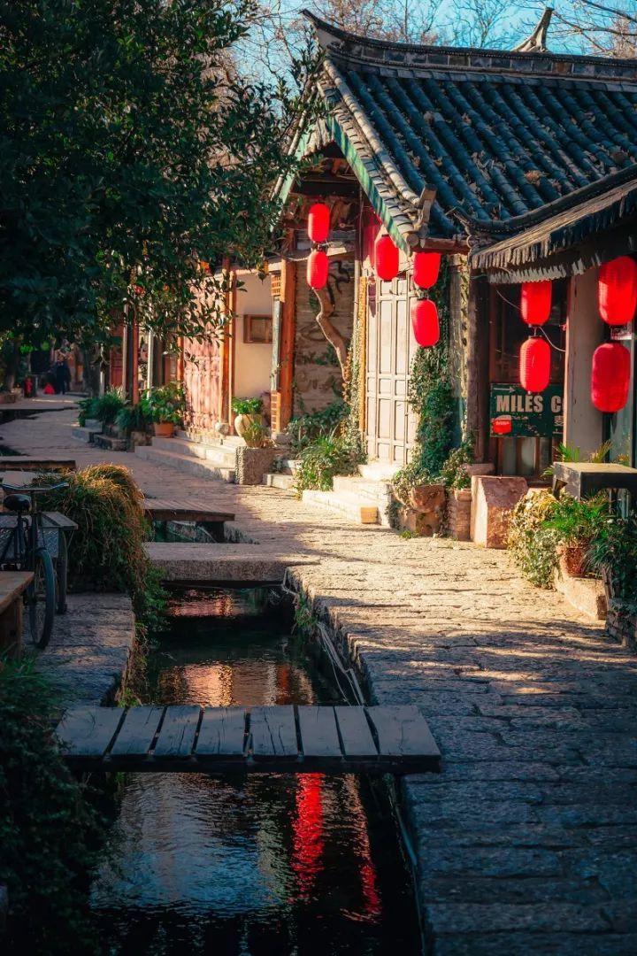 动物帮帮忙保卫家园